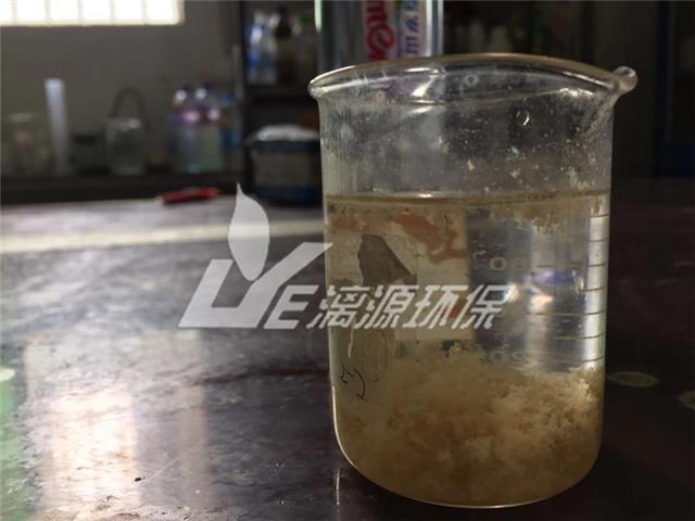 豆制品废水混凝沉淀后