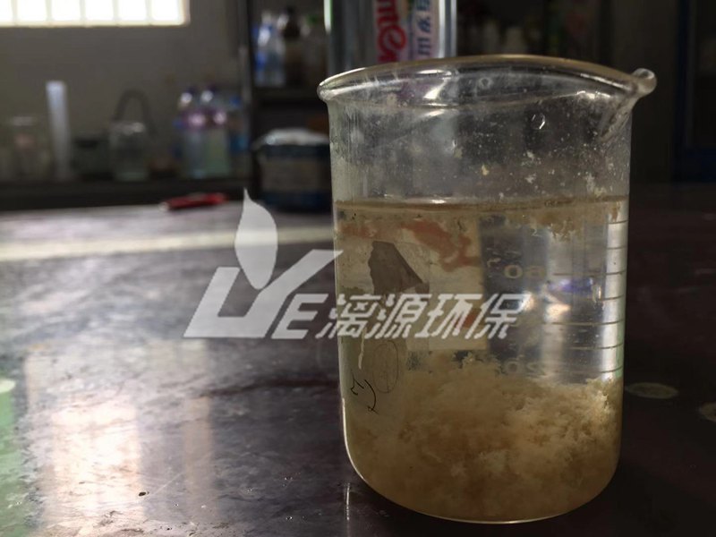 豆制品废水混凝沉淀后