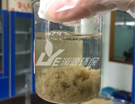 混凝法处理印染废水的实验研究