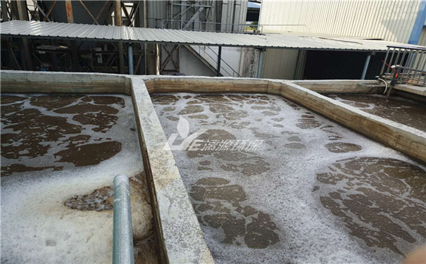 鸭厂养殖废水处理技术