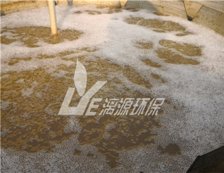 洁霉素生产废水处理工艺