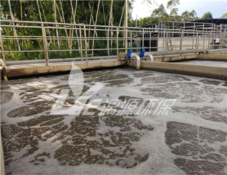 海藻糖生产废水处理工艺