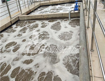 聚乙醇酸生产废水处理方法