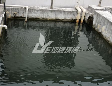 工业废水处理中什么物质影响废水的急性毒性