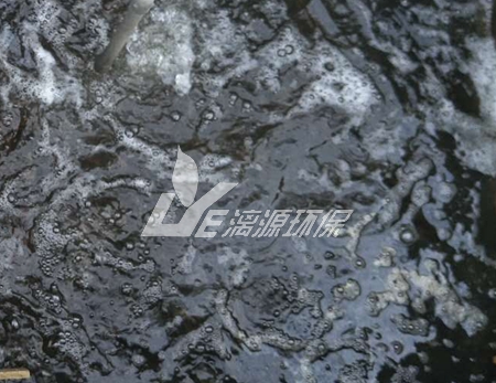 大米加工废水处理技术